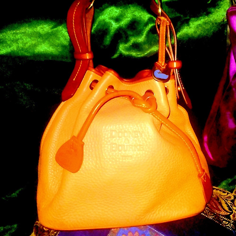 Dooney  and Bourke  Boho Bag